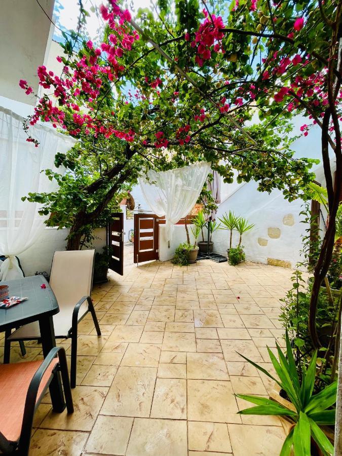 Anastasia's House Appartement